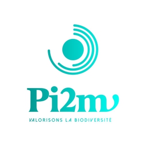 Pi2M